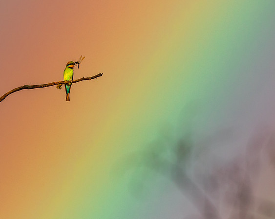 Rainbows all Around
